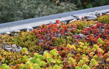 the cost of Pwll Clai green roof installation