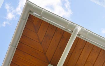 Pwll Clai soffit types