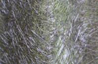 Pwll Clai fibreglass roof work